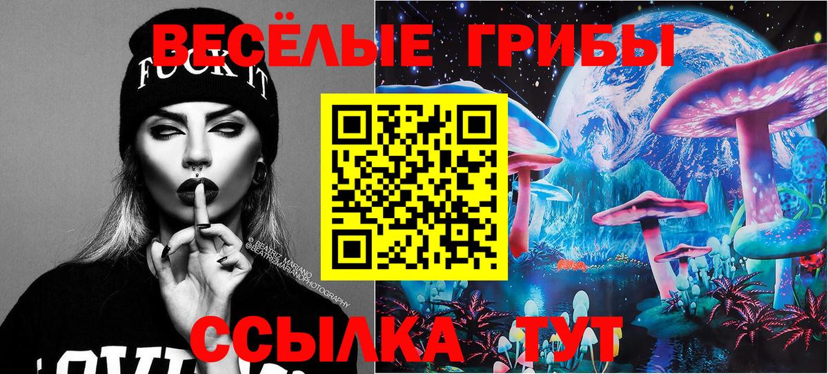 ГАШИШ  Канабис  MDMA  Меф МЯУ МЯУ   Ачхой-Мартан  АМФ кристаллы  Альфа ПВП СК кристаллы  NBOMe 