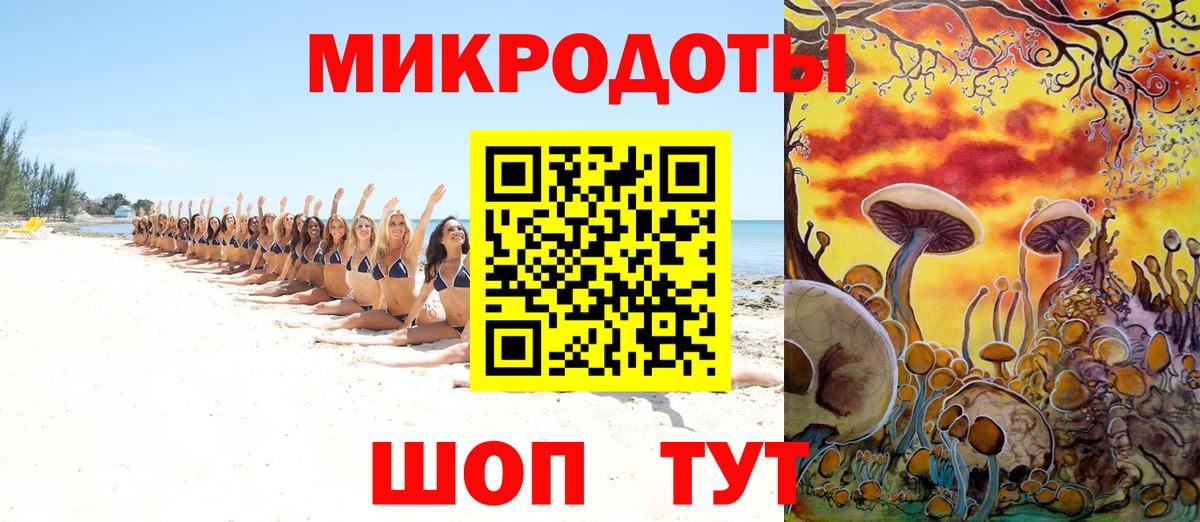 Псилоцибиновые грибы Psilocybine cubensis  Ачхой-Мартан 