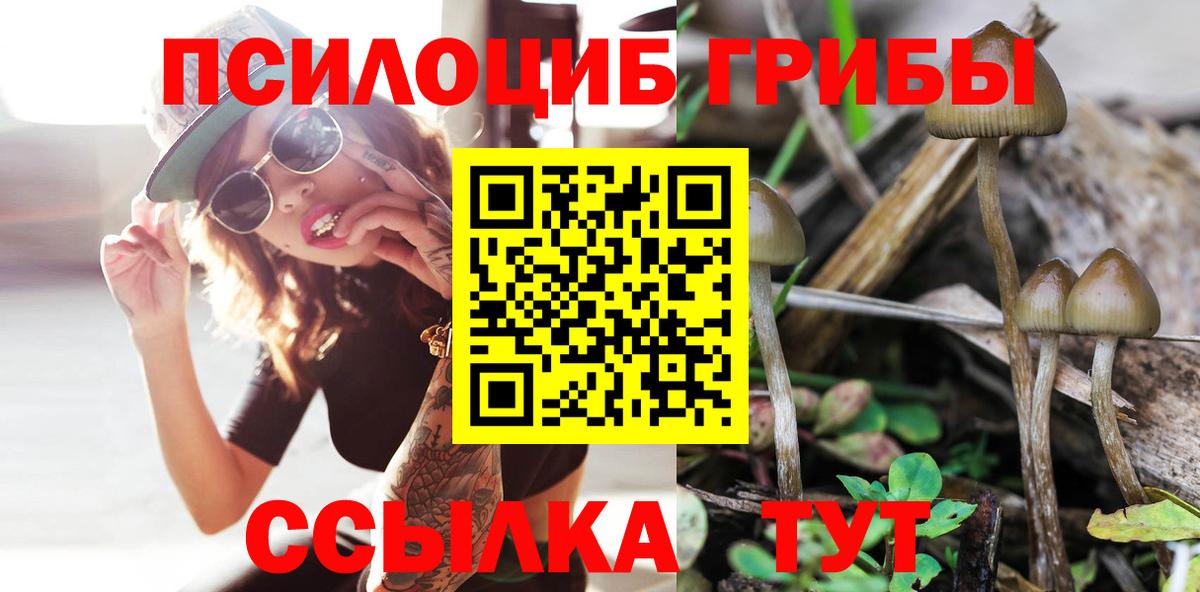 Галлюциногенные грибы ЛСД Ачхой-Мартан