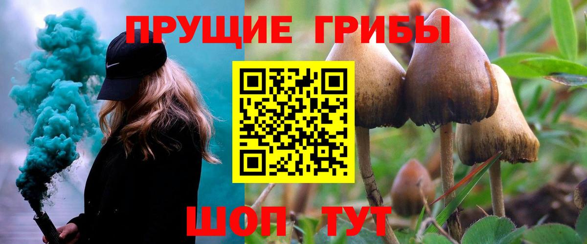 Псилоцибиновые грибы GOLDEN TEACHER  Вход с VPN  Ачхой-Мартан 