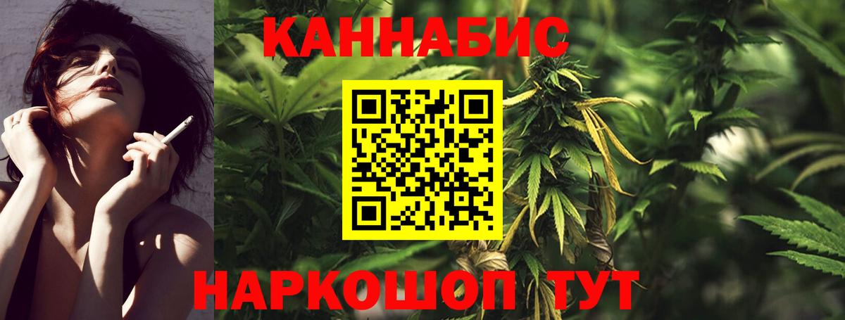 Бошки марихуана тримм Ачхой-Мартан